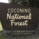 coco national forest