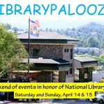 librarypalooza