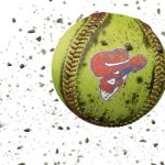 Camp Verde Softball Bumper