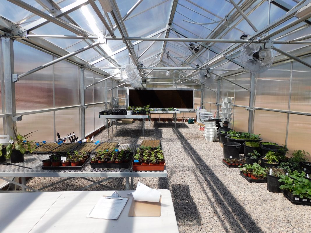 Yavapai College Verde Valley Campus adds new Greenhouse | MyRadioPlace