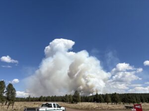 Burn Near Stoneman Lake