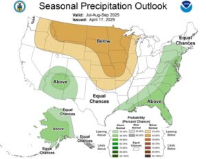 monsoon prediction