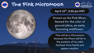 pink moon