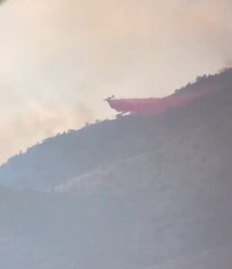 turnbull fire