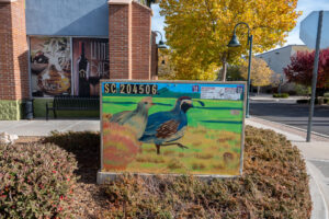 utility box entertainment