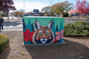 utility box pav way