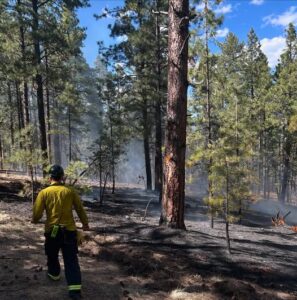 wildfire season