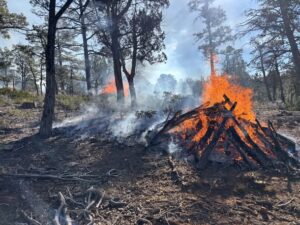 597566457 1298613798972976 425736059032389111 n