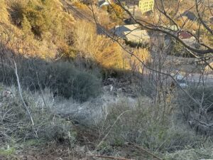 597831518 1281074057394999 4417923104779847302 n