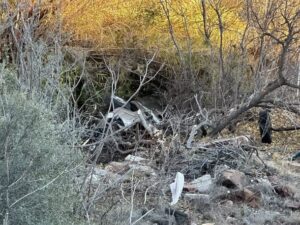 597837696 1281074150728323 4665747399005558003 n