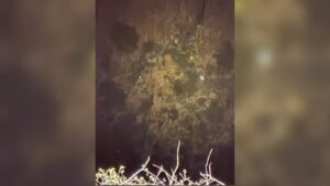 600090355 1247595314060163 4741869828396062521 n