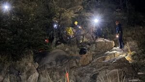 600274212 1247595344060160 9049899192808541104 n