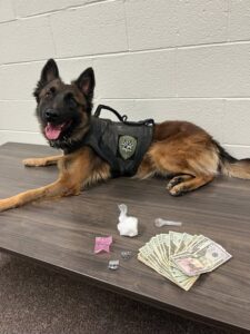 k9 ripp