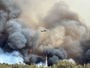 wildfire report