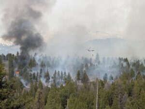 673291564 1277426744501702 5720308678912366793 n