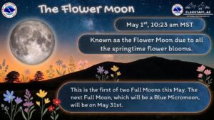 682798933 1398097225680911 2640256675283961561 n