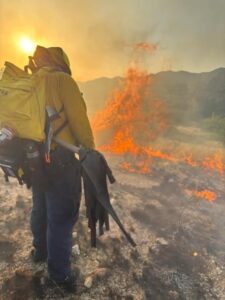 683169971 1407791121388576 107575929693849824 n