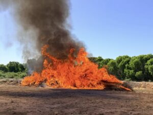 684136977 1408664071301281 6529900948919831223 n