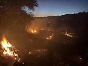 684214896 1406883241479364 1730098875187738087 n