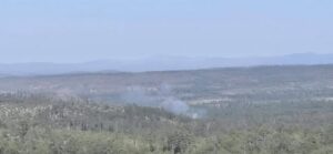 brinkmeyer fire1