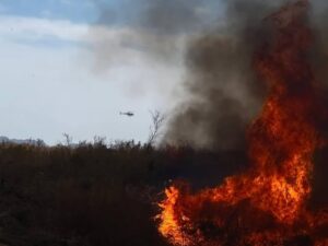 hazen fire
