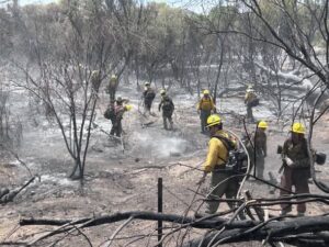 jones fire