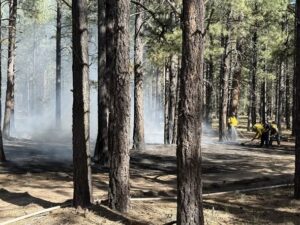 ponderosa fire
