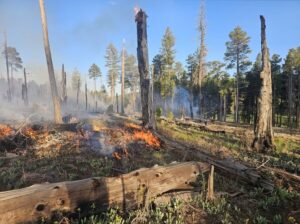 steeple fire