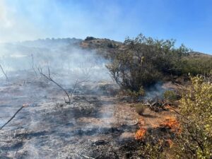 antelope fire1