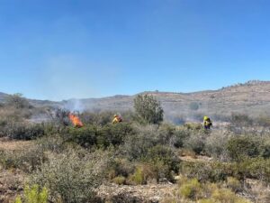 antelope fire2