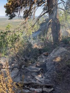bixler fire