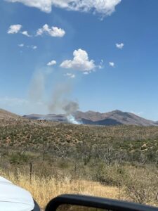 branch fire2
