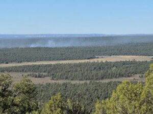butte fire