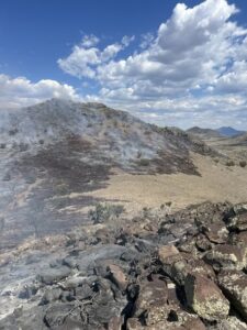 grandview fire