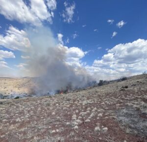 grandview fire1