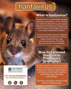 hantavirus