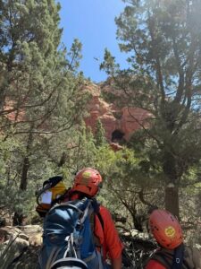 search and rescue1