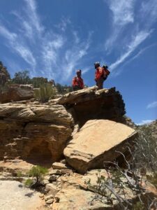search and rescue2