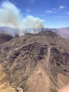 sycamore fire