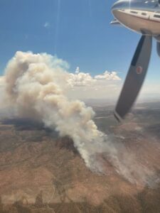 sycamore fire2