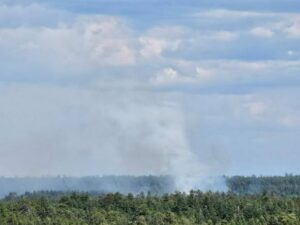 turkey fire