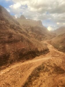 790426025 1575829130700015 7994025860199566632 